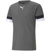 Puma Futbolo Marškinėliai Vyrams TeamRise Jersey Pilkas 704932 13