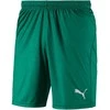 Puma Futbolo Šortai Liga Shorts Core Pepper Žalias
