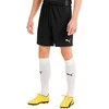 Puma Futbolo Šortai Vyrams TeamGoal 23 Knit Shorts Juodas 704262 03