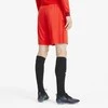 Puma Futbolo Šortai Vyrams TeamGoal 23 Knit Shorts Raudona 704262 01