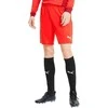 Puma Futbolo Šortai Vyrams TeamGoal 23 Knit Shorts Raudona 704262 01