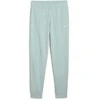 Puma Kelnės Moterims Ess Elevated Sweatpants Mint 685019 67