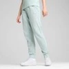 Puma Kelnės Moterims Ess Elevated Sweatpants Mint 685019 67