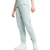 Puma Kelnės Moterims Ess Elevated Sweatpants Mint 685019 67