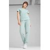 Puma Kelnės Moterims Ess Elevated Sweatpants Mint 685019 67