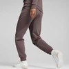 Puma Kelnės Moterims Ess+ Embroigery Dusty Plum 670007 75