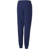 Puma Kelnės Paaugliams Alpha Sweatpants Mėlyna 585895 12