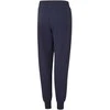Puma Kelnės Paaugliams Alpha Sweatpants Mėlyna 847290 06