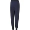 Puma Kelnės Paaugliams Alpha Sweatpants Mėlyna 847290 06