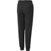 Puma Kelnės Paaugliams Ess + 2 Col Logo Pants Juodas 586988 61