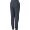 Puma Kelnės Paaugliams Ess + 2 Col Logo Pants Mėlyna 586988 16
