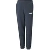 Puma Kelnės Paaugliams Ess + 2 Col Logo Pants Mėlyna 586988 16