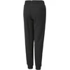 Puma Kelnės Paaugliams Ess + 2 Col Logo Pants Juodas 586988 61