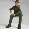 Puma Kelnės Paaugliams Ess + 2 Col Logo Pants Fl Khaki 586988 77