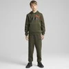 Puma Kelnės Paaugliams Ess + 2 Col Logo Pants Fl Khaki 586988 77