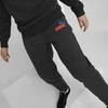 Puma Kelnės Paaugliams Ess + 2 Col Logo Pants Juodas 586988 61