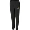 Puma Kelnės Paaugliams Ess+ 2 Col Logo Juodas 586988 54