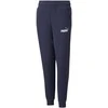 Puma Kelnės Paaugliams Ess+ 2 Col Logo Mėlyna 586988 96