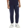 Puma Kelnės Paaugliams Ess+ 2 Col Logo Mėlyna 586988 96
