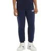 Puma Kelnės Paaugliams Ess+ 2 Col Logo Mėlyna 586988 96