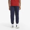 Puma Kelnės Paaugliams Ess+ 2 Col Logo Mėlyna 586988 96