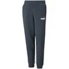 Puma Kelnės Paaugliams Ess + 2 Col Logo Pants Mėlyna 586988 16