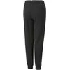 Puma Kelnės Paaugliams Ess + 2 Col Logo Pants Juodas 586988 61