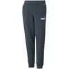 Puma Kelnės Paaugliams Ess + 2 Col Logo Pants Mėlyna 586988 16