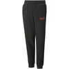 Puma Kelnės Paaugliams Ess + 2 Col Logo Pants Juodas 586988 61