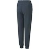 Puma Kelnės Paaugliams Ess + 2 Col Logo Pants Mėlyna 586988 16
