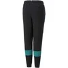 Puma Kelnės Paaugliams Ess Block Sweatpants Juodas 849083 51