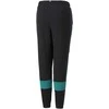 Puma Kelnės Paaugliams Ess Block Sweatpants Juodas 849083 51