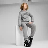 Puma Kelnės Paaugliams Ess No. 1 Logo Sweatpants Pilkas 684914 03