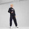 Puma Kelnės Paaugliams Ess No. 1 Logo Sweatpants Mėlyna 684914 16
