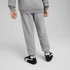 Puma Kelnės Paaugliams Ess No. 1 Logo Sweatpants Pilkas 684914 03