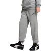 Puma Kelnės Paaugliams Ess No. 1 Logo Sweatpants Pilkas 684914 03