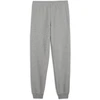 Puma Kelnės Paaugliams Ess No. 1 Logo Sweatpants Pilkas 684914 03