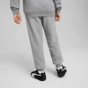 Puma Kelnės Paaugliams Ess No. 1 Logo Sweatpants Pilkas 684914 03