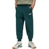 Puma Kelnės Paaugliams Ess No.1 Logo Sweatpants Fl Dark Žalias 684912 75