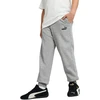 Puma Kelnės Paaugliams Ess No.1 Logo Sweatpants Fl Light Pilkas 684912 03