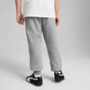 Puma Kelnės Paaugliams Ess No.1 Logo Sweatpants Fl Light Pilkas 684912 03