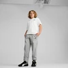 Puma Kelnės Paaugliams Ess No.1 Logo Sweatpants Fl Light Pilkas 684912 03