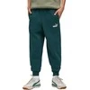 Puma Kelnės Paaugliams Ess No.1 Logo Sweatpants Fl Dark Žalias 684912 75
