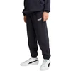Puma Kelnės Paaugliams Ess No.1 Logo Sweatpants Fl Dark Mėlyna 684912 16