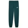Puma Kelnės Paaugliams Ess No.1 Logo Sweatpants Fl Dark Žalias 684912 75