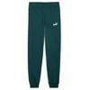 Puma Kelnės Paaugliams Ess No.1 Logo Sweatpants Fl Dark Žalias 684912 75