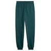 Puma Kelnės Paaugliams Ess No.1 Logo Sweatpants Fl Dark Žalias 684912 75