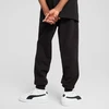 Puma Kelnės Paaugliams Ess No.1 Logo Sweatpants Fl Juodas 684912 01
