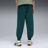 Puma Kelnės Paaugliams Ess No.1 Logo Sweatpants Fl Dark Žalias 684912 75