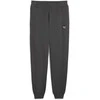 Puma Kelnės Vyrams Ess Elevated Pants Fl Dark Pilkas 688277 44